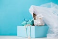 Blue box with bridal shoes in composition Royalty Free Stock Photo