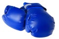 Blue boxing gloves