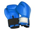 Blue Boxing Gloves