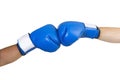 Blue boxing gloves