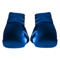 Blue Boxing Gloves Royalty Free Stock Photo