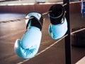 Blue boxing gloves hanging on the boxing ring Royalty Free Stock Photo