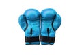 Blue boxing gloves on a white background