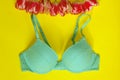 Blue Bra Over Yellow Background.