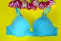 Blue Bra Over Yellow Background.