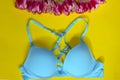 Blue Bra Over Yellow Background.