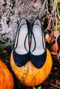 Blue bridal shoes standing on an autumn pumpkin. Wedding decoration.
