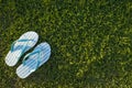 Blue Bright Flip-Flops on Green Grass Background Royalty Free Stock Photo