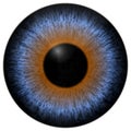 Blue and brown 3d eyeball texture with black fringe Royalty Free Stock Photo