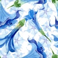 Blue brugmansia floral botanical flowers. Watercolor background illustration set. Seamless background pattern.