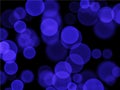 Blue bubble background vector texture pattern for presentations or website background Royalty Free Stock Photo