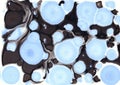 Blue bubbles in black background watercolor Royalty Free Stock Photo