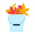 Blue bucket full of bright autumn maple and oak leaves. Fall season gardening and cleaning theme vector illustration Royalty Free Stock Photo