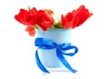 Blue bucket with red tulips