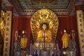 Blue Buddha Altar Yonghe Gong Temple Beijing Royalty Free Stock Photo