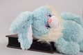 Blue bunny and album for photos. Soft toy blue. Photo album. Easter. Cleaning of the apartment. Childhood