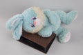Blue bunny and album for photos. Soft toy blue. Photo album. Easter. Cleaning of the apartment. Childhood