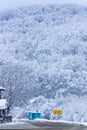 Blue bus stop on the background of a forest in the snow on a winter morning. Royalty Free Stock Photo