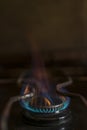 Blue butane gas fire