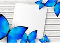 Blue butterflies background Royalty Free Stock Photo