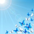 Blue butterflies on sky background Royalty Free Stock Photo