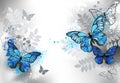 Blue butterflies with wild plants