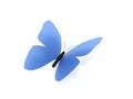 Blue butterfly Royalty Free Stock Photo