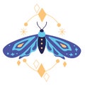 blue butterfly alchemy doctrine