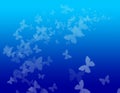 Blue Butterfly Background