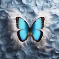 Blue butterfly on a background of blue and white bird feathers, beautiful unusual composition,