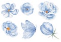 Blue butterfly and blossoms watercolor raster illustration set Royalty Free Stock Photo