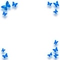 Blue butterfly border