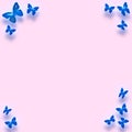 Blue butterfly border