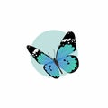 Blue Butterfly Flat Design on White Background Royalty Free Stock Photo