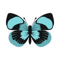 Blue butterfly icon in flat style Royalty Free Stock Photo