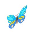 Blue butterfly icon, isometric 3d style Royalty Free Stock Photo