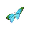 Blue butterfly icon, isometric 3d style Royalty Free Stock Photo