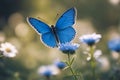 Blue butterfly. Butterfly on meadow flowers. Selective focus. AI generated Royalty Free Stock Photo
