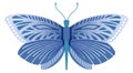 Blue butterfly. Natural summer symbol. Flower moth