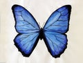 Blue butterfly painted with watercolor.
