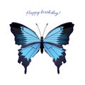 Blue butterfly papilio ulysses isolated vector on white background Royalty Free Stock Photo