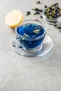 Blue butterfly pea flower tea Royalty Free Stock Photo