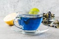 Blue butterfly pea flower tea Royalty Free Stock Photo