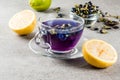 Blue butterfly pea flower tea Royalty Free Stock Photo