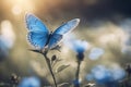 Blue butterfly. A butterfly is sitting on flowers. Selective focus. AI generated Royalty Free Stock Photo
