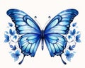 The Blue Butterfly: A Sketch of Lossless Flowers, Leaves, and Bi