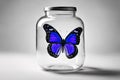 Blue butterfly in a transparent glass jar on white background. Royalty Free Stock Photo