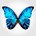 Blue butterfly on the white blackground Royalty Free Stock Photo