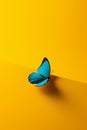 Blue butterfly on a yellow background. 3d rendering, 3d illustration. Royalty Free Stock Photo