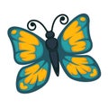 Blue butterfly with yellow ornament Royalty Free Stock Photo